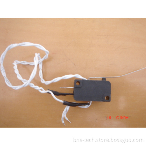 Micro Switch
